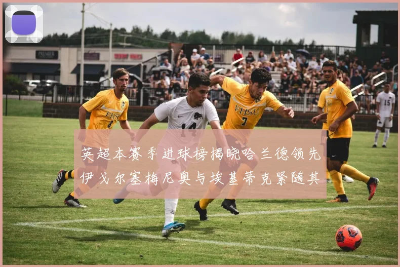 英超本赛季进球榜揭晓哈兰德领先伊戈尔塞梅尼奥与埃基蒂克紧随其后